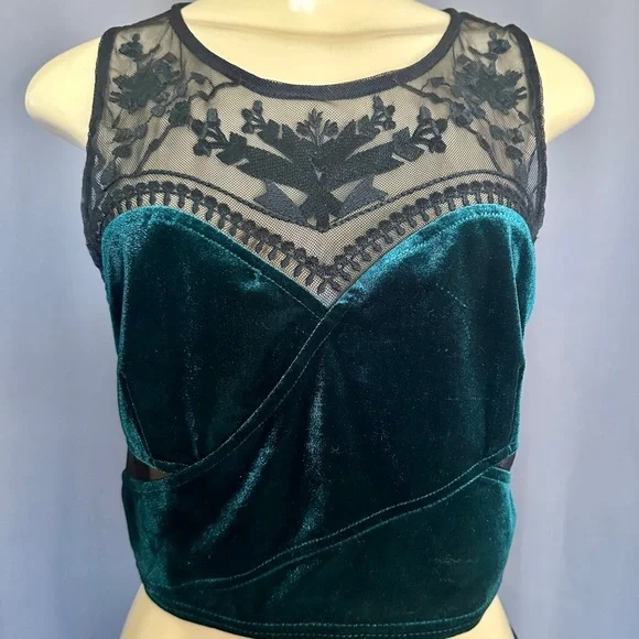 UO | STARING AT STARS Velvet and Lace Crop Top - Picture 3 of 9